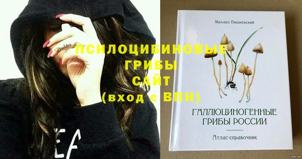 трава Абаза